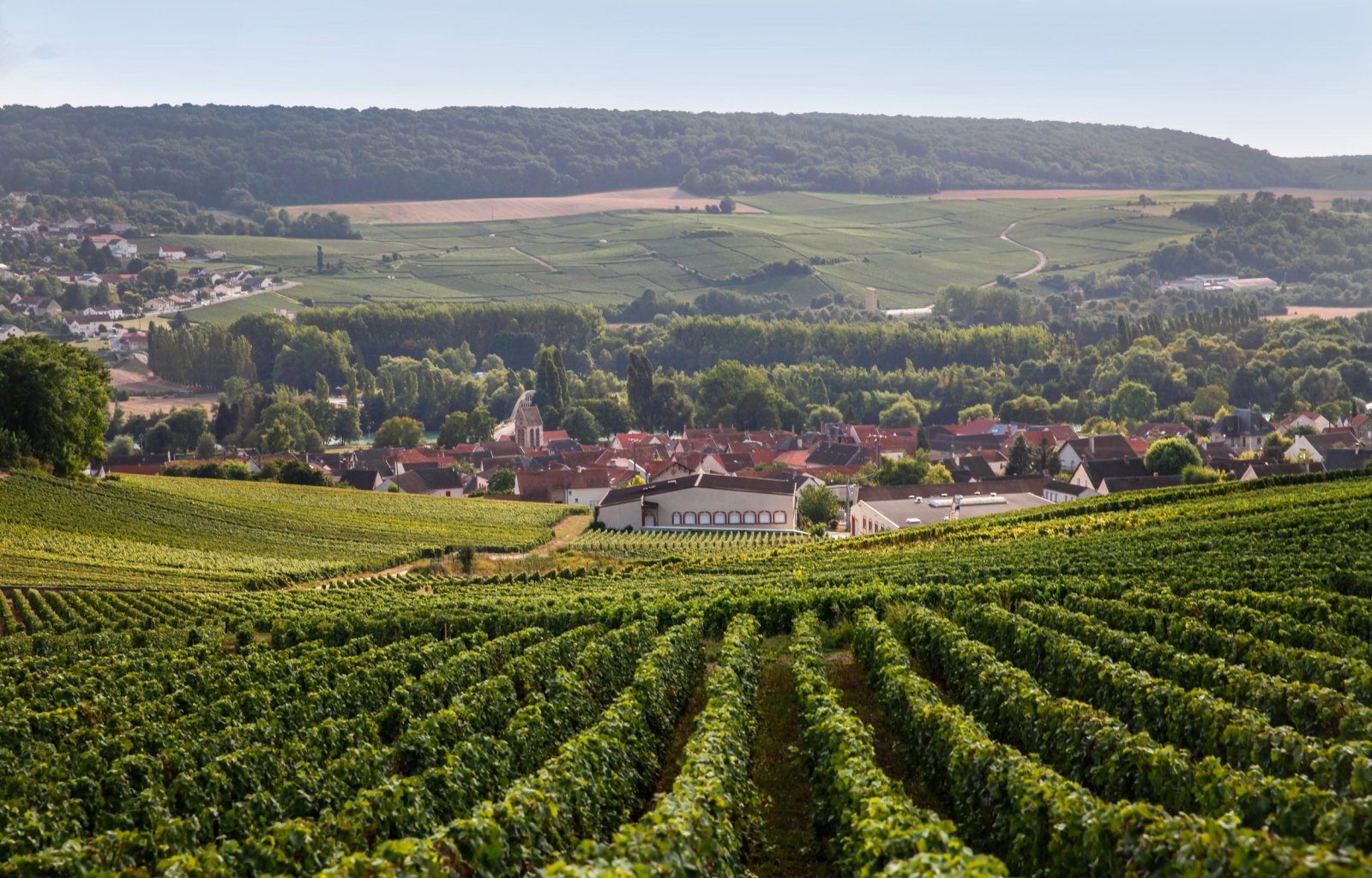 Village de Reuil situé au milieu du vignoble